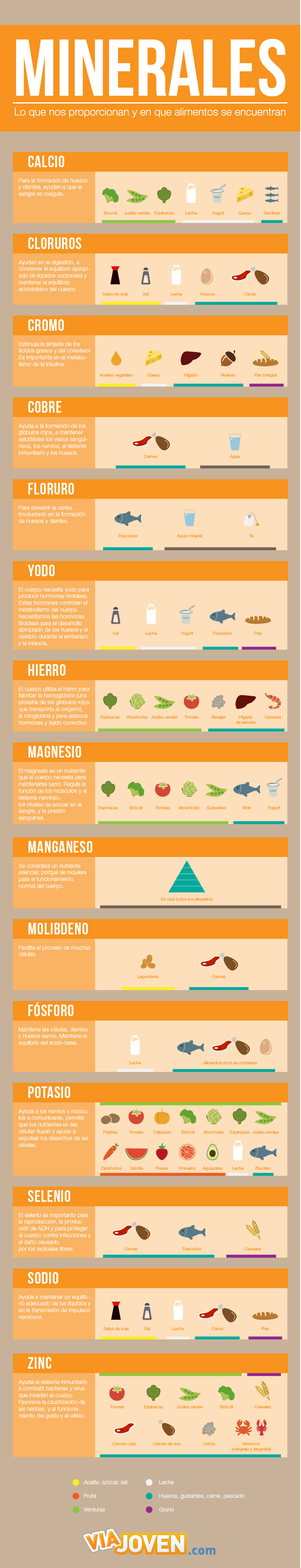 Minerales En Alimentos ¿dónde Se Encuentran Los Más Importantes 2704