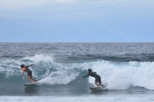 surf-tenerife-1.jpg