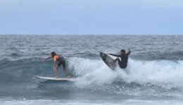 surf-tenerife-2.jpg